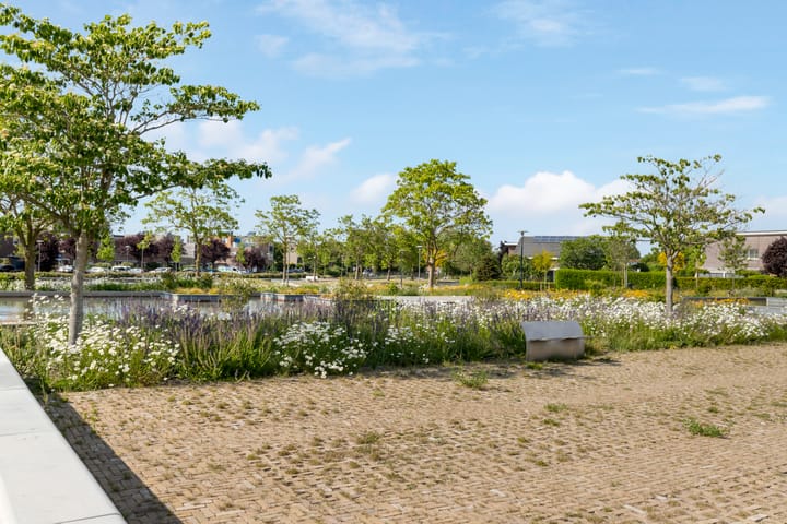 Foto 32 van Kompas 9