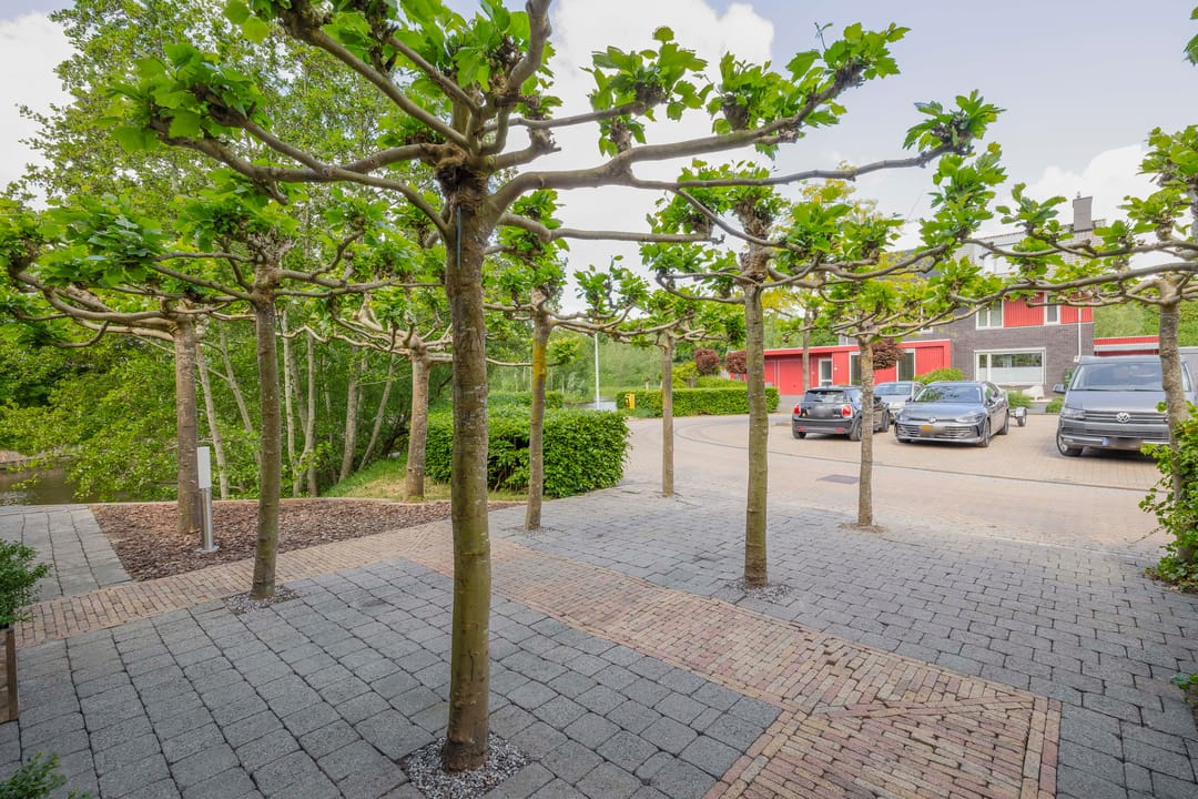 Foto 46 van Cornelis Rienks de Boerstraat 115