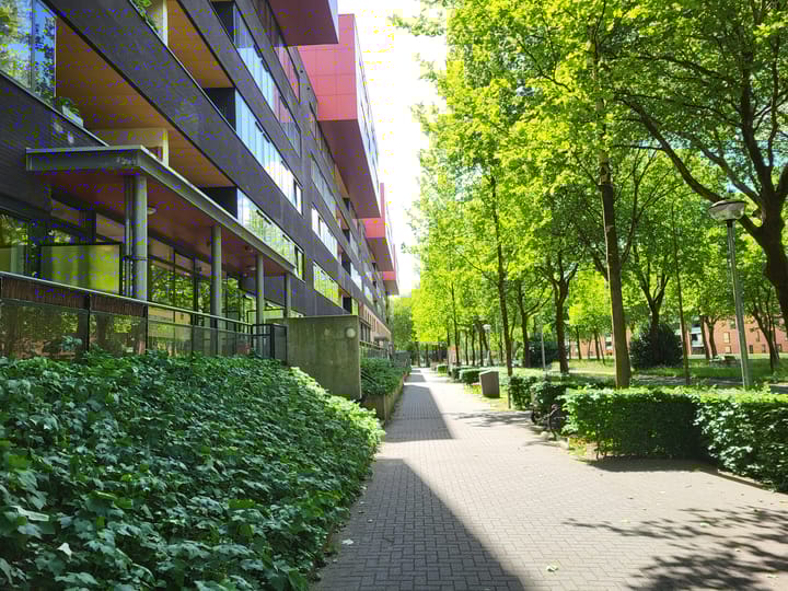 Foto 25 van Wadestein 12