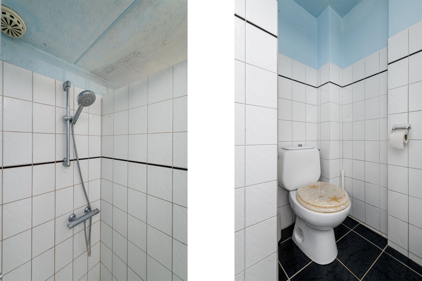 Foto 35 van Zwette 72