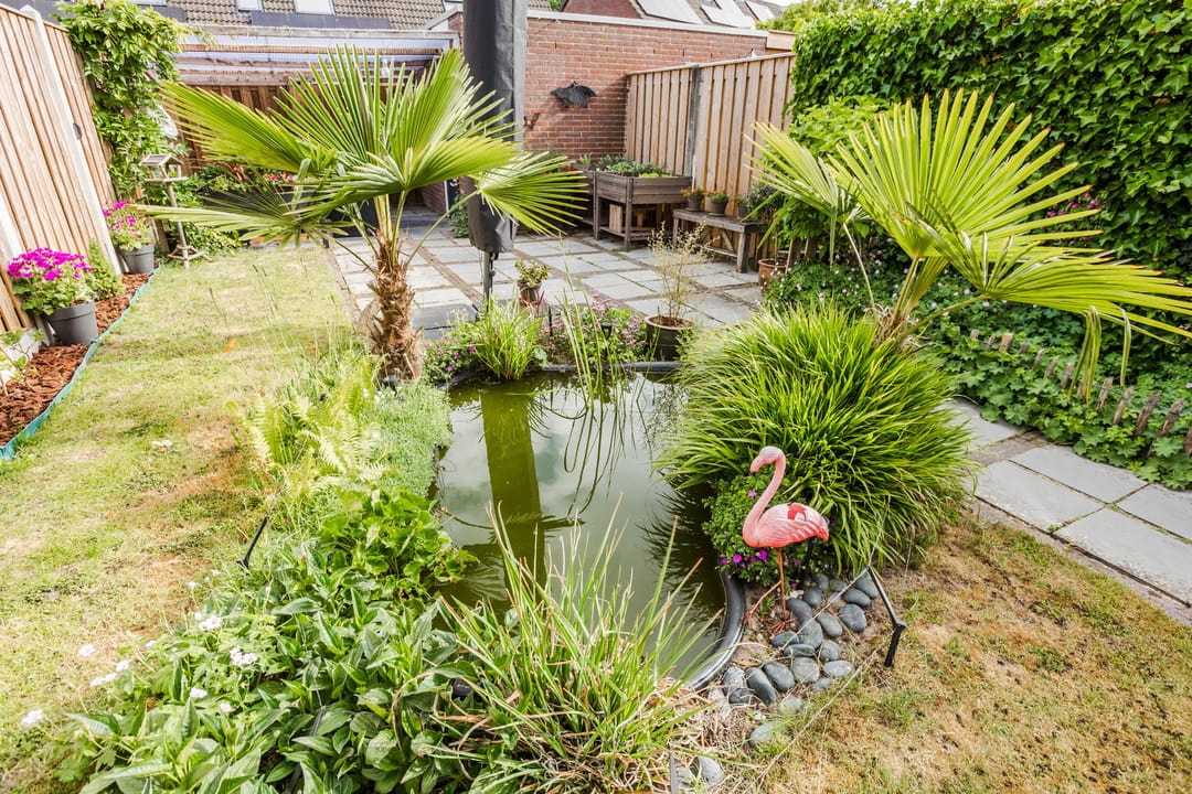 Foto 32 van Melissepad 18