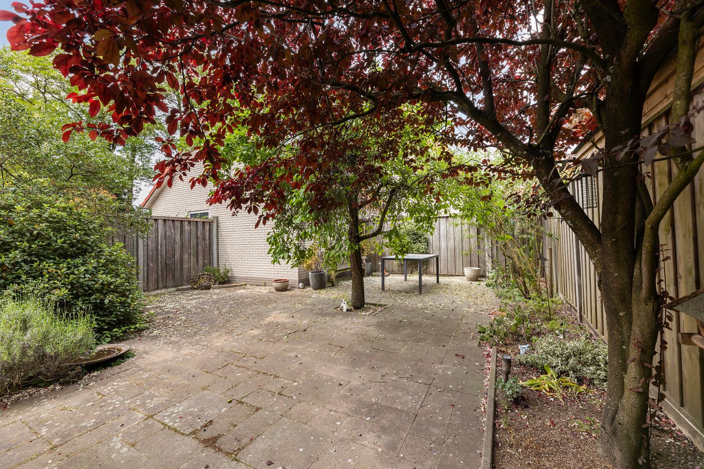 Photo 4 of Pruisische Veldweg 53