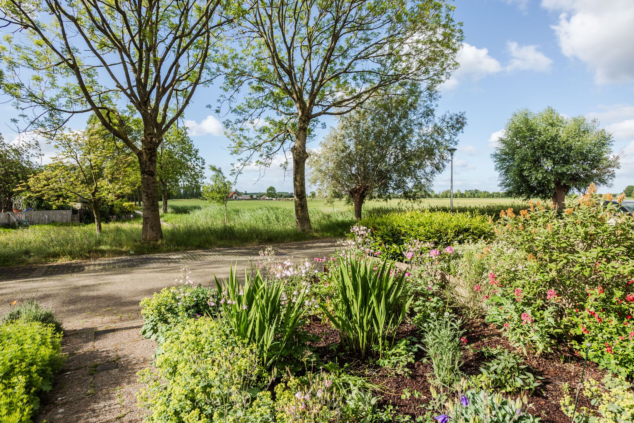 Foto 42 van Melissepad 18