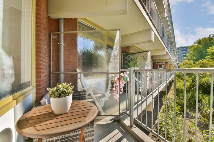 Photo 15 of Amerbos 157