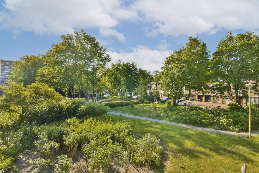 Foto 16 van Amerbos 157