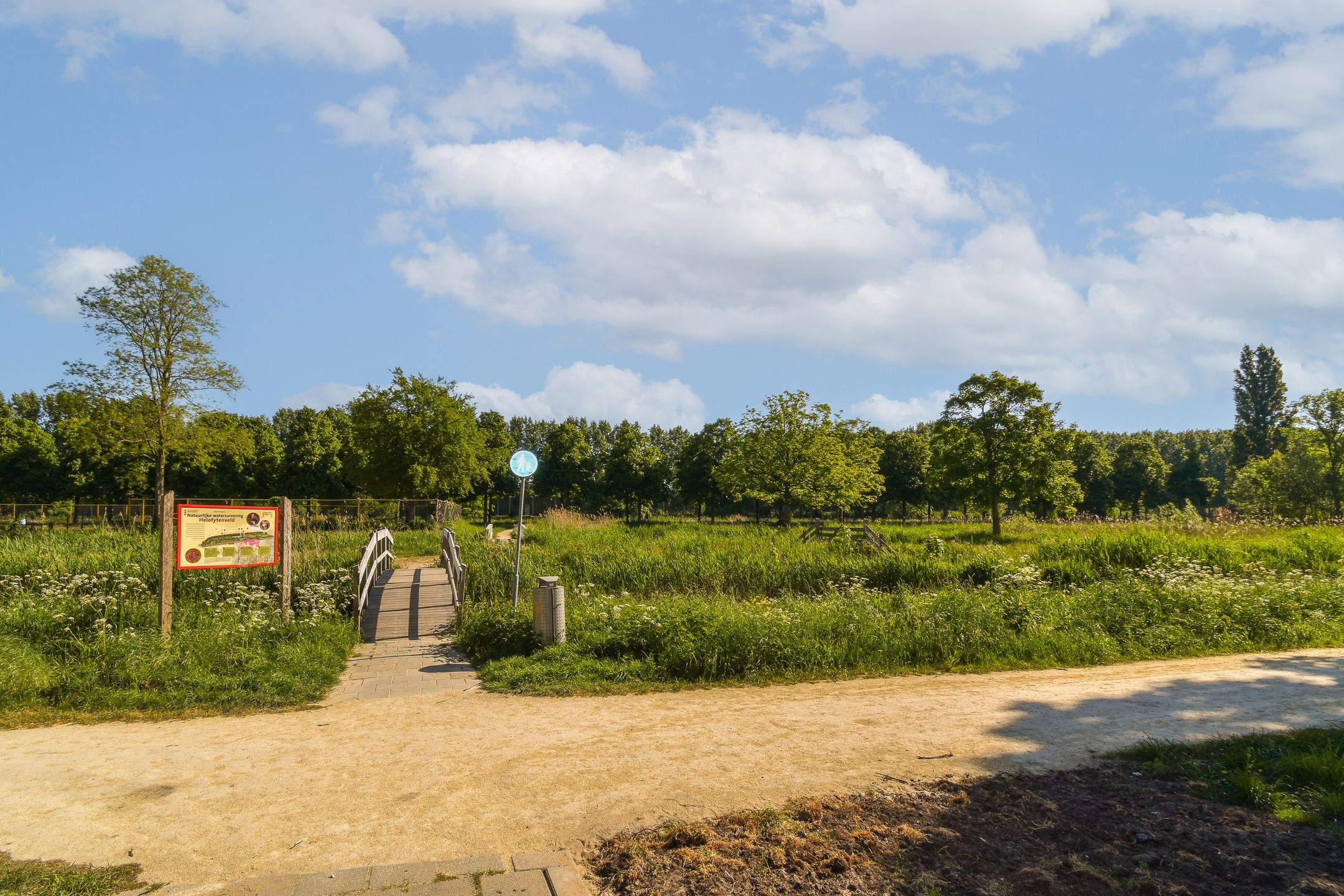 Foto 24 van Amerbos 157