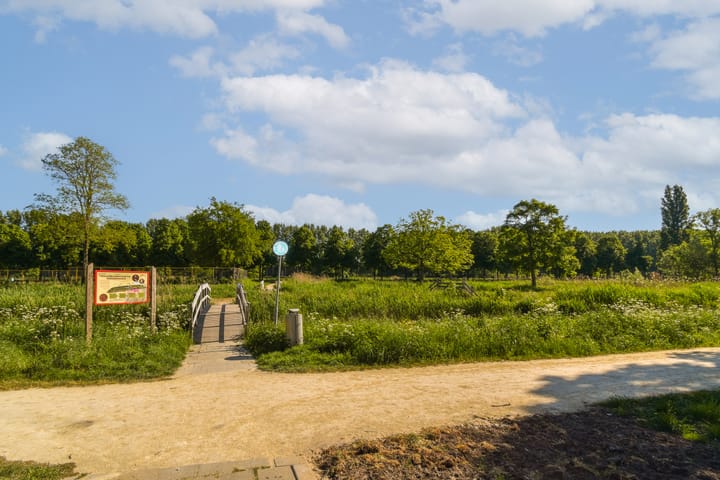 Photo 24 of Amerbos 157