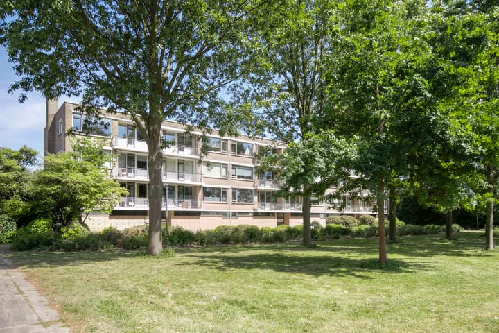 Foto 20 van Nieuwenoord 74