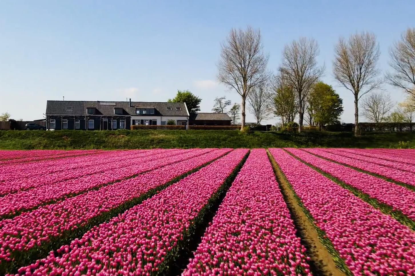 Foto 3 van Langstraat 74