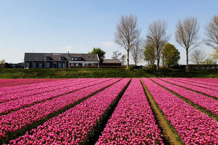 Foto 3 van Langstraat 74