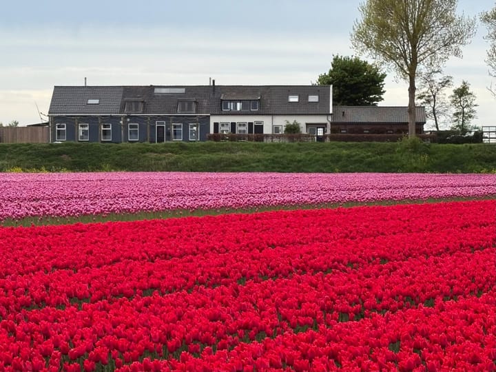 Foto 4 van Langstraat 74