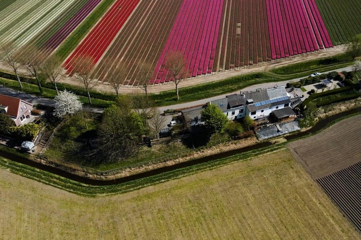 Foto 5 van Langstraat 74