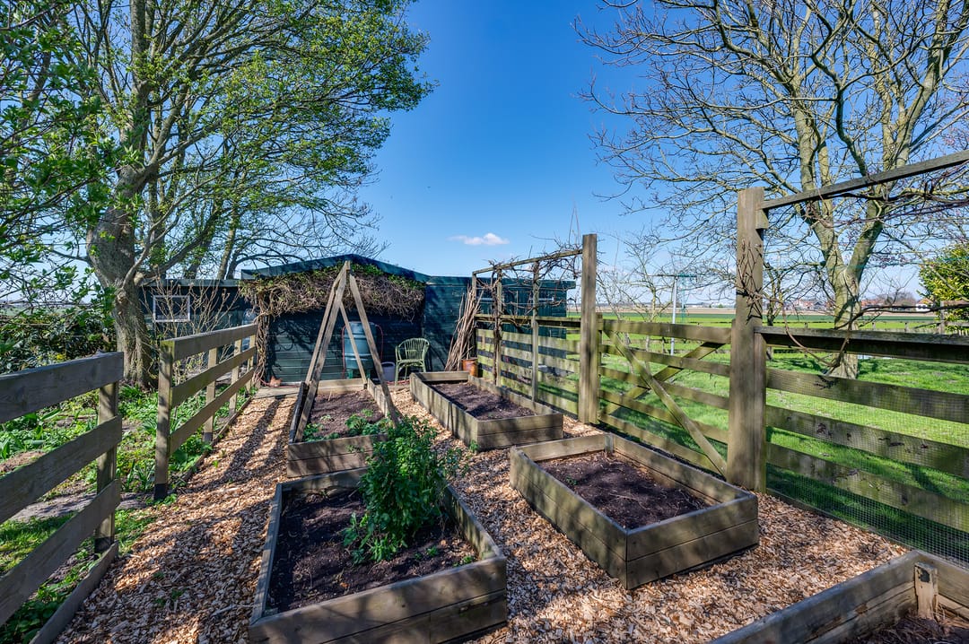 Foto 52 van Langstraat 74