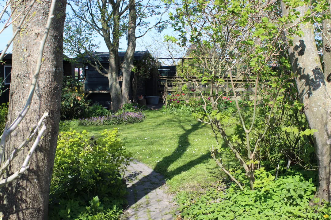 Foto 53 van Langstraat 74