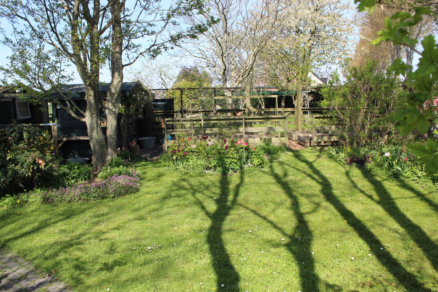 Foto 59 van Langstraat 74