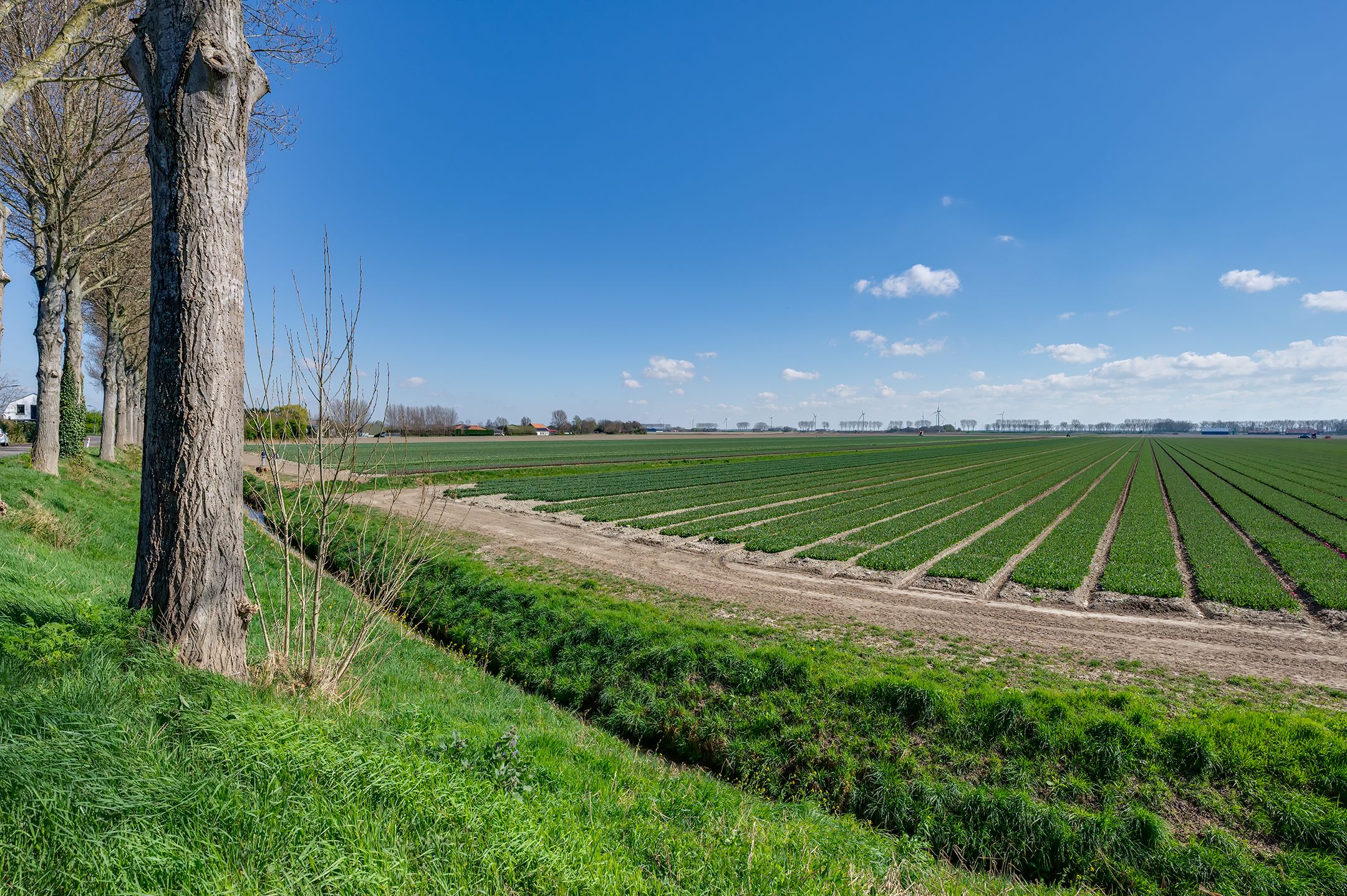 Foto 63 van Langstraat 74