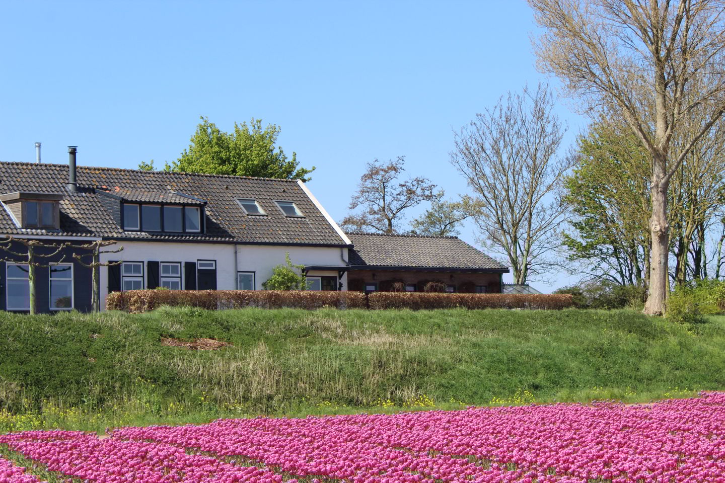 Foto 65 van Langstraat 74