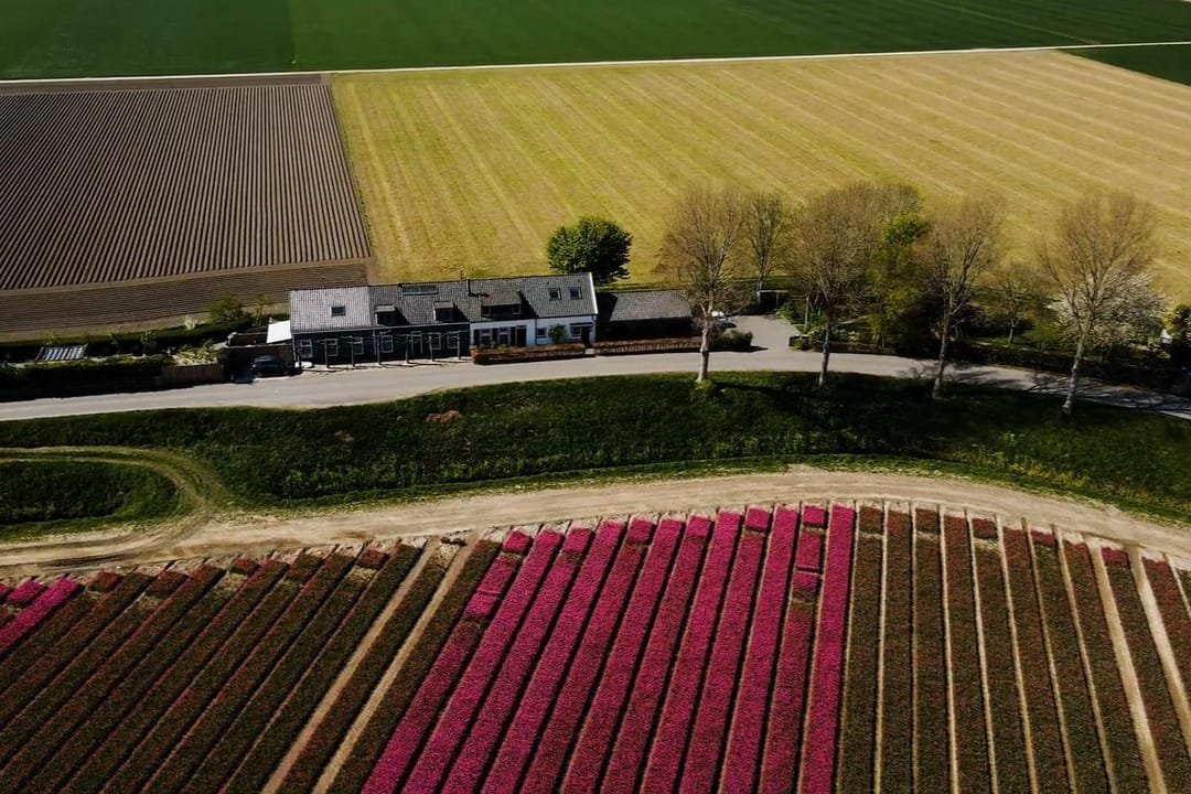 Foto 67 van Langstraat 74