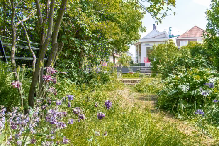 Foto 2 van Hogestraat 34