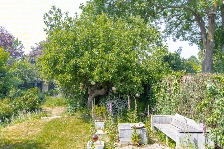 Foto 57 van Hogestraat 34