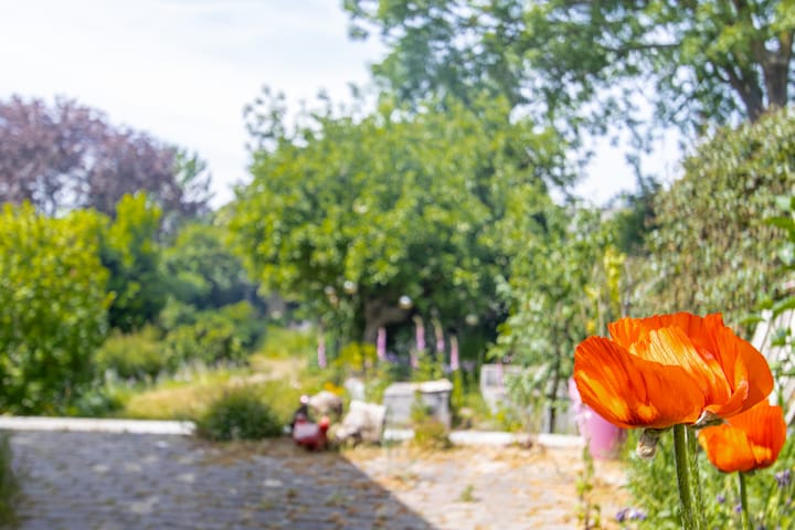 Foto 64 van Hogestraat 34