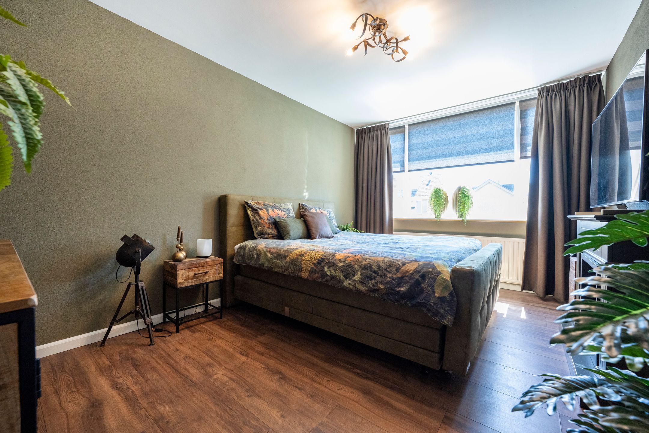 Foto 18 van Andromeda 26