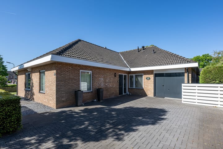 Foto 2 van Tureluur 2