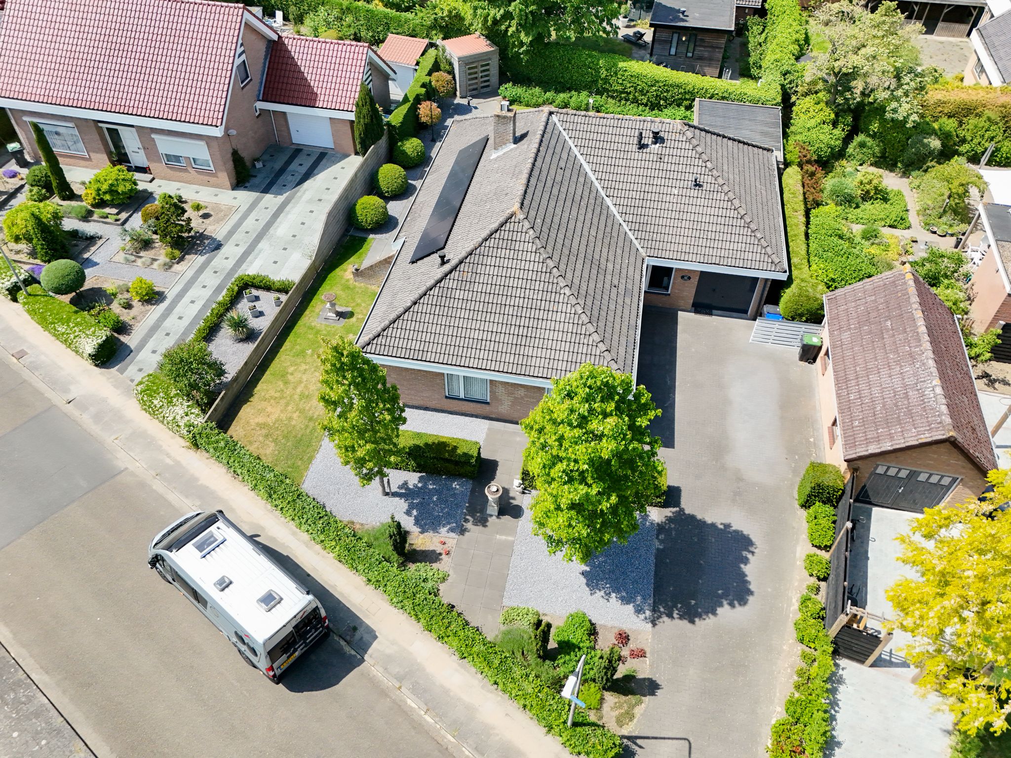 Photo 3 of Tureluur 2