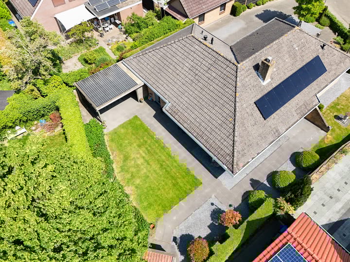 Foto 6 van Tureluur 2