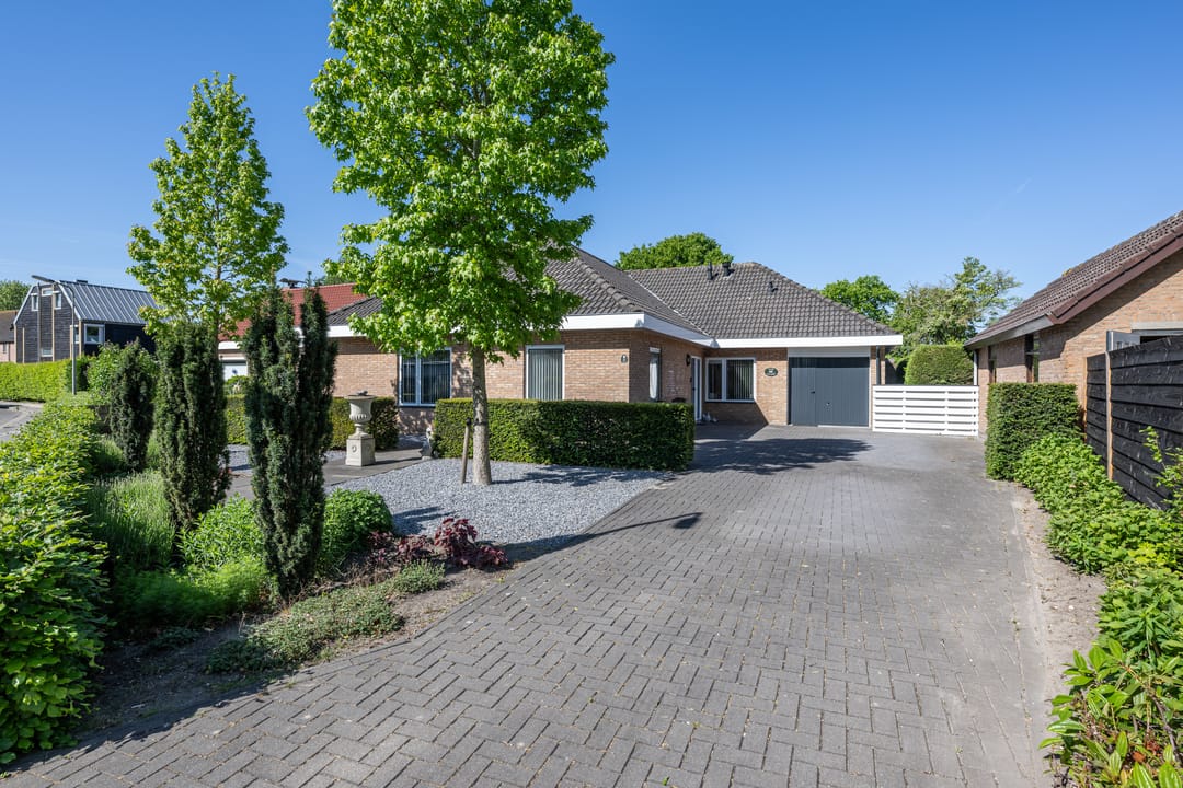 Photo 1 of Tureluur 2