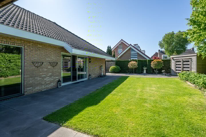 Foto 5 van Tureluur 2