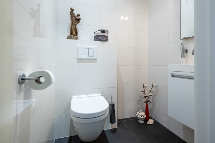 Foto 27 van Tureluur 2