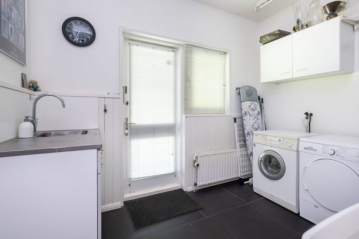 Foto 28 van Tureluur 2