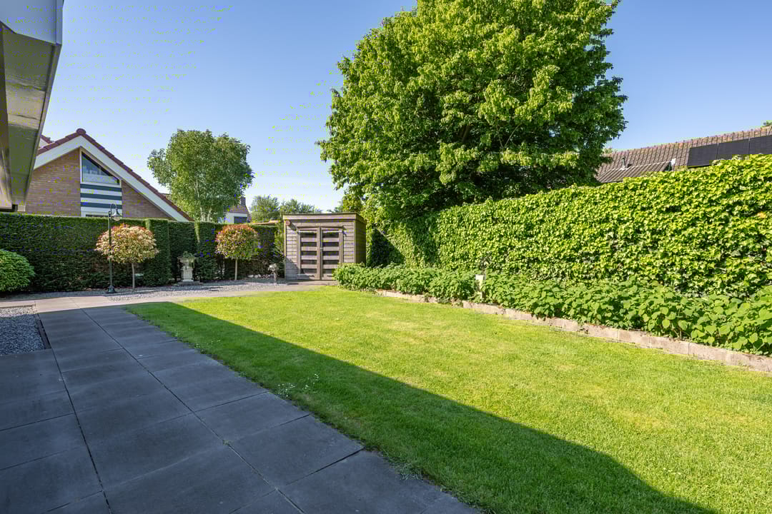 Photo 32 of Tureluur 2