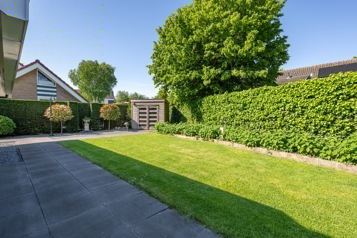 Foto 32 van Tureluur 2