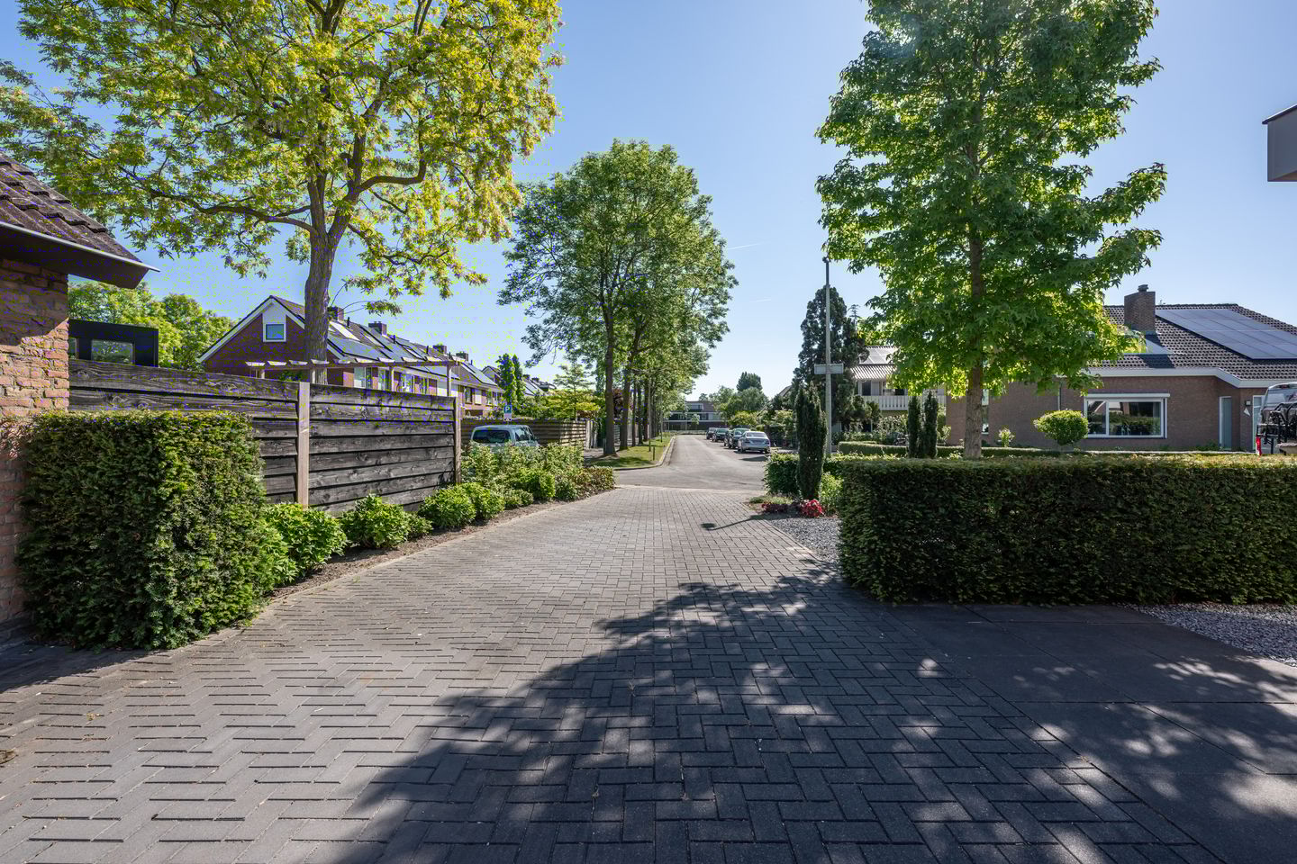 Photo 34 of Tureluur 2