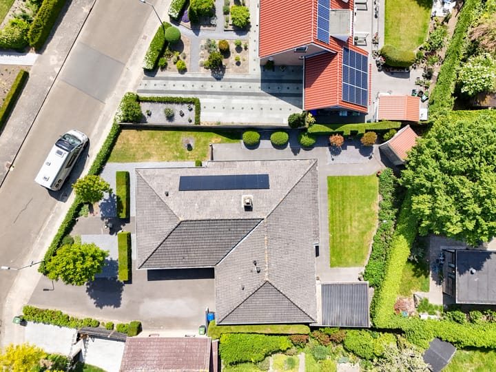 Foto 35 van Tureluur 2