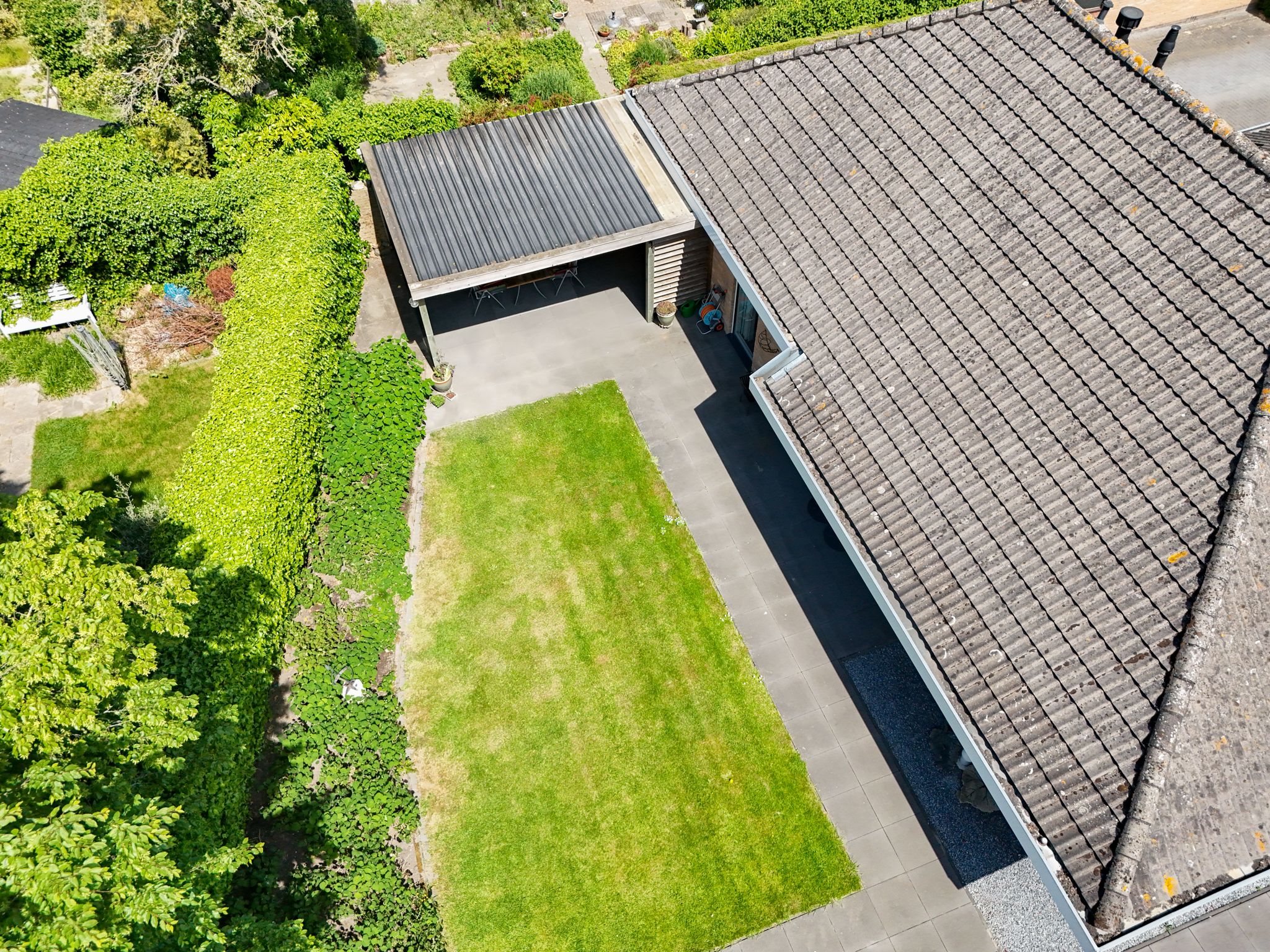 Photo 36 of Tureluur 2