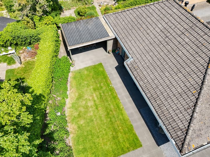 Foto 36 van Tureluur 2