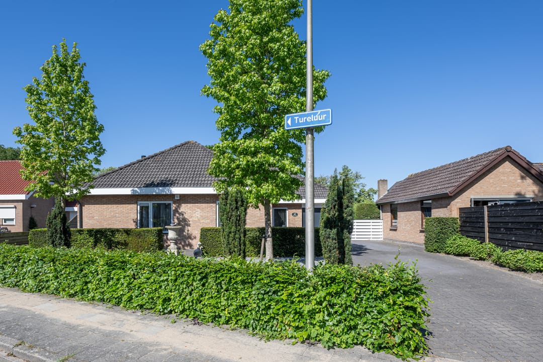 Photo 38 of Tureluur 2