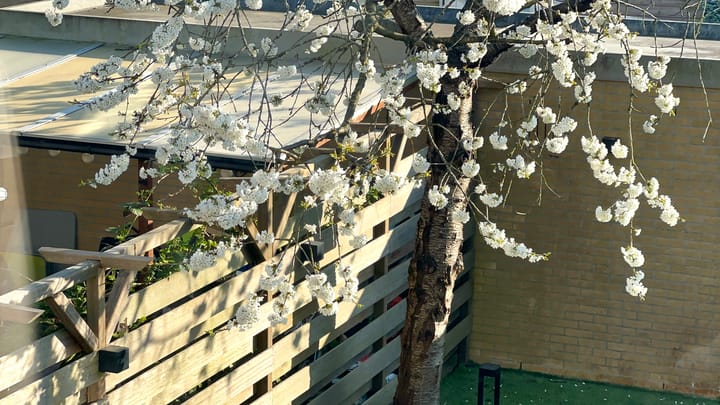 Foto 36 van Schweitzerlaan 53