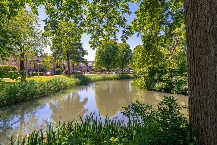 Foto 36 van Dominicushof 141