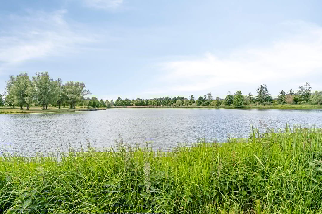 Photo 38 of Thorbeckelaan 100