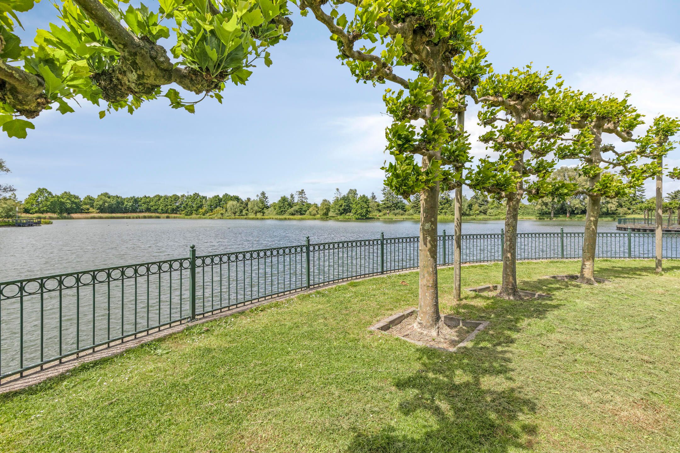 Photo 39 of Thorbeckelaan 100