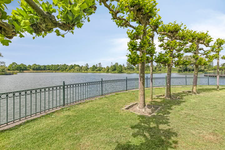 Foto 39 van Thorbeckelaan 100