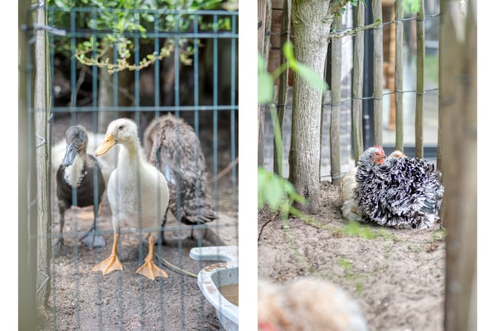 Foto 49 van Van Kouwenborchstraat 63