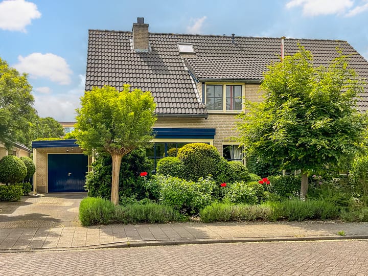 Robert van Guliklaan 54