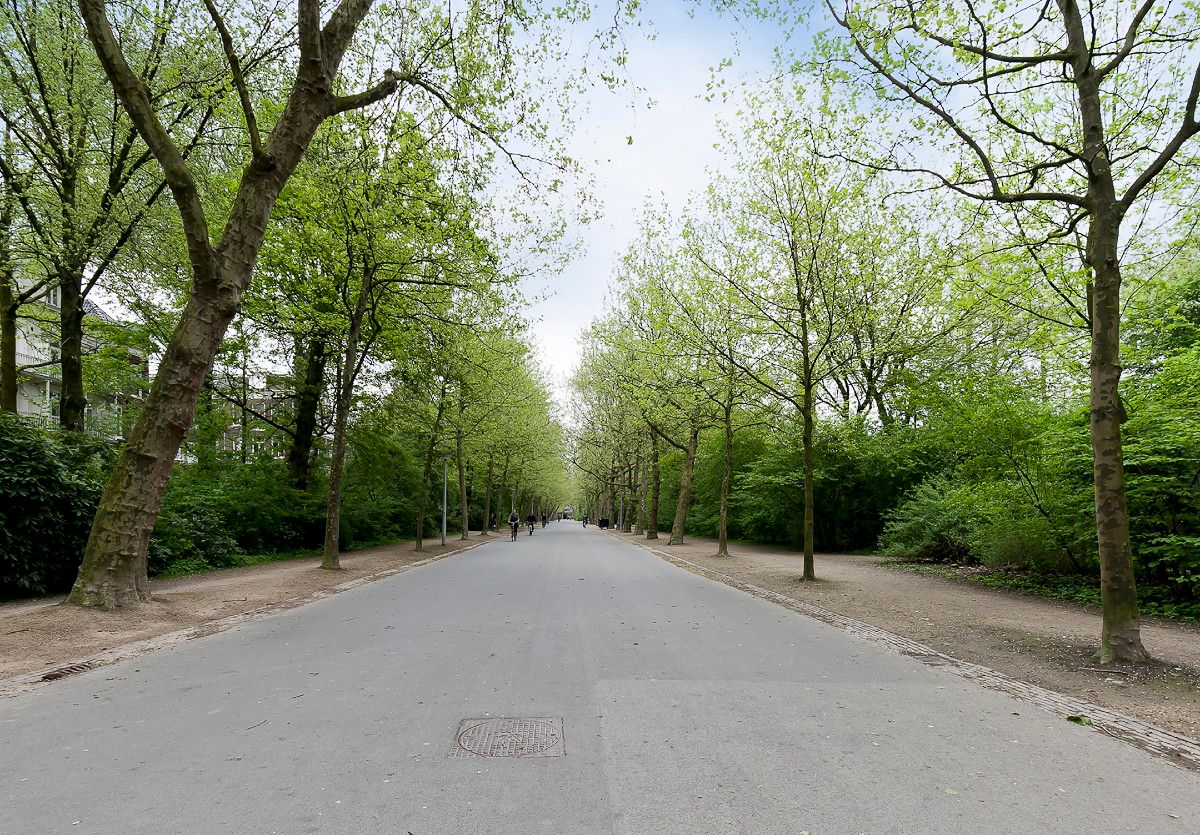 Foto 39 van Eerste Constantijn Huygensstraat 82-3