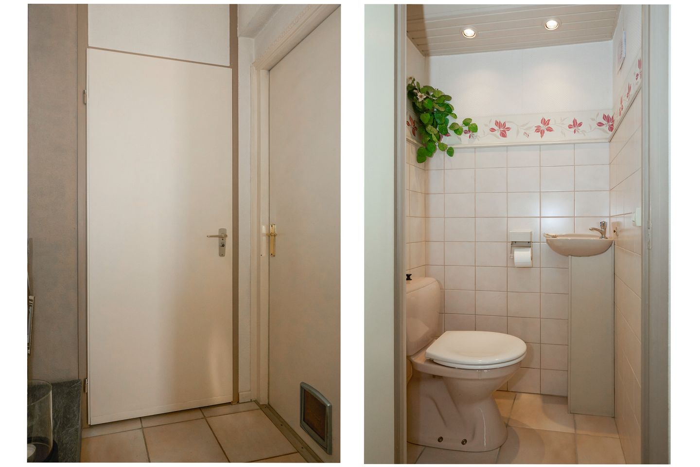 Photo 19 of Molenhof 100