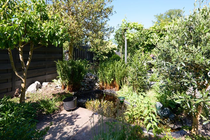 Foto 60 van Molenhof 100